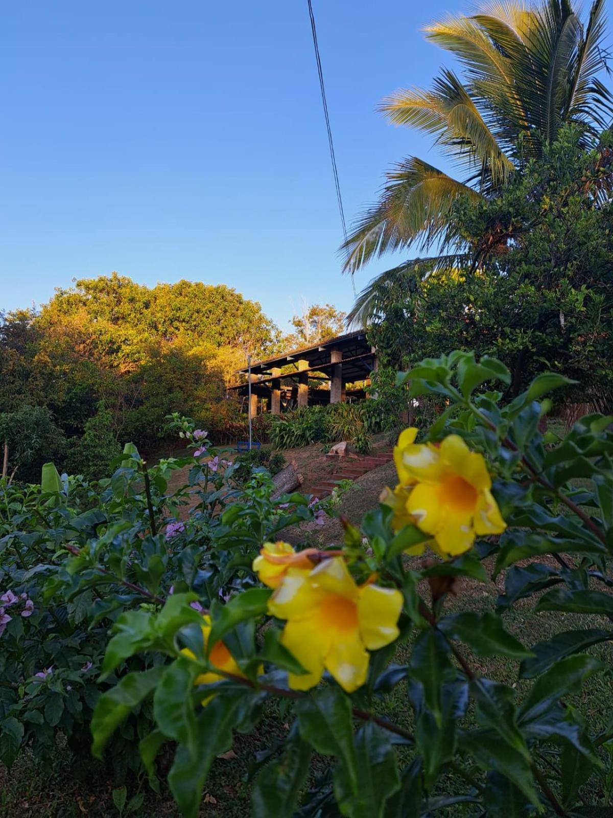 Serenity By Nature Carrillos エクステリア 写真