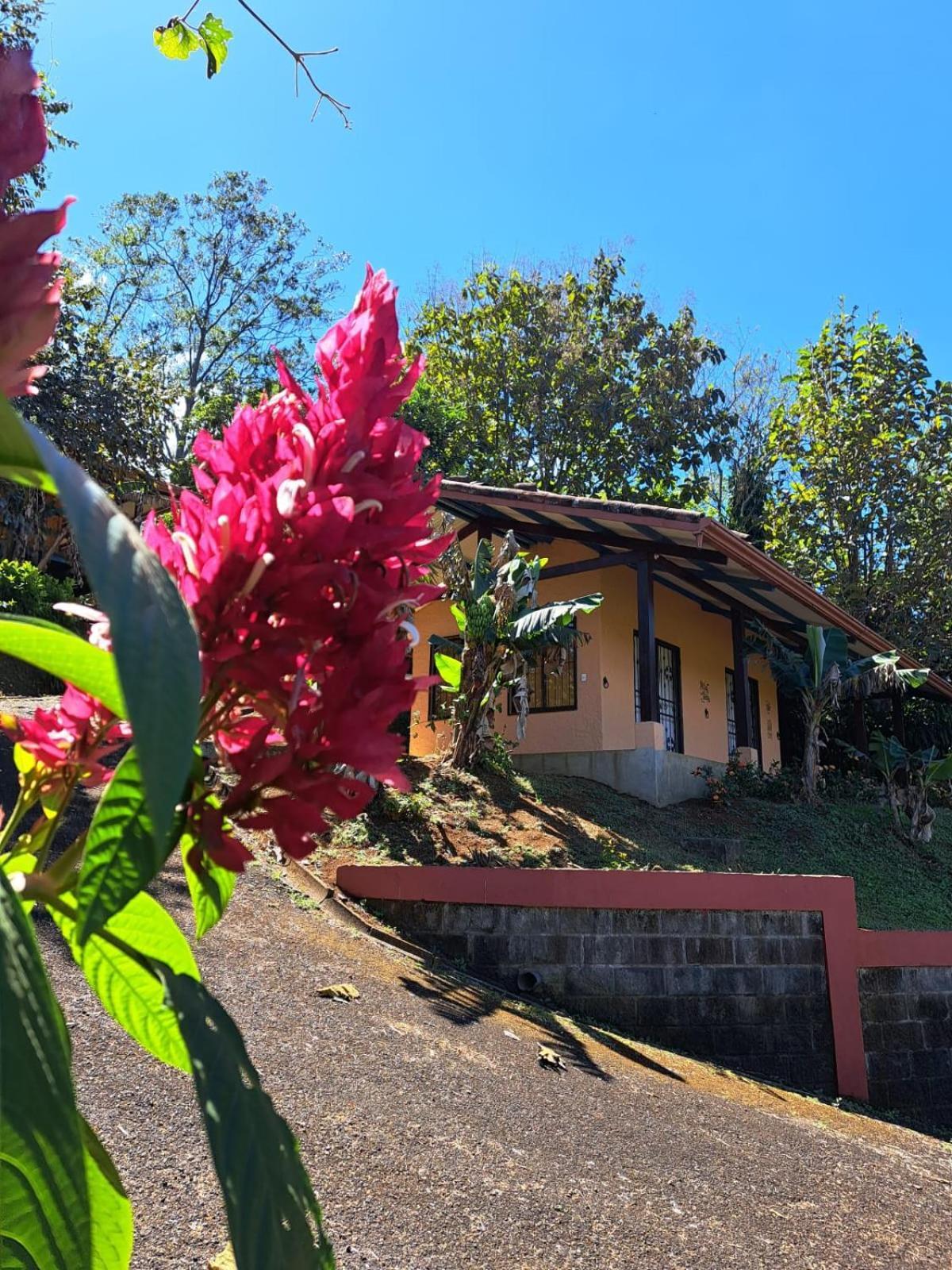 Serenity By Nature Carrillos エクステリア 写真